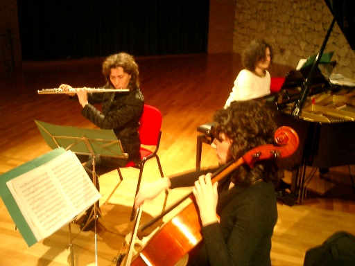 amici_musica060308 (9).JPG (101510 byte)