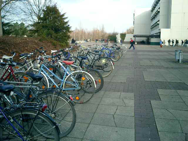 h_school02.JPG (86802 byte)