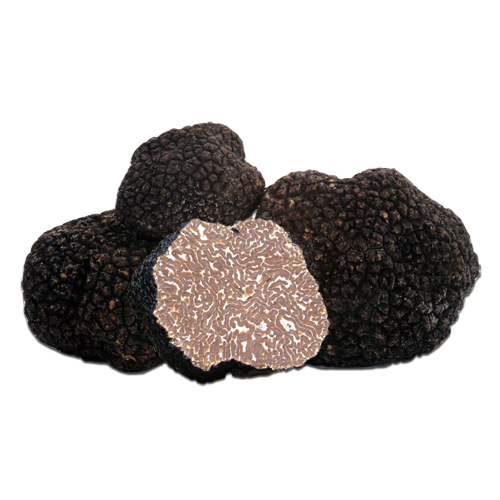 Rossano Turzo - Tartufo