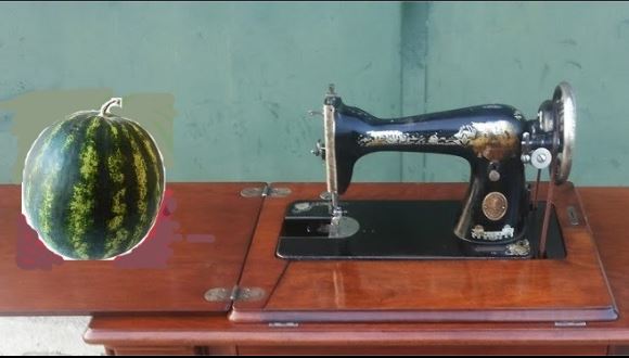 Rossano Turzo Il melone sulla macchina da cucire