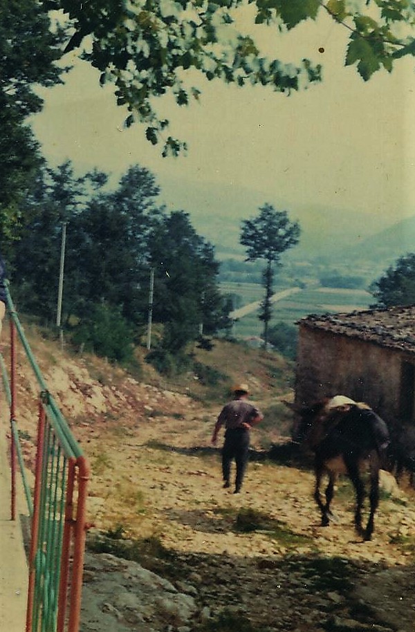 Sessano Archivio Giovanni Petrollini