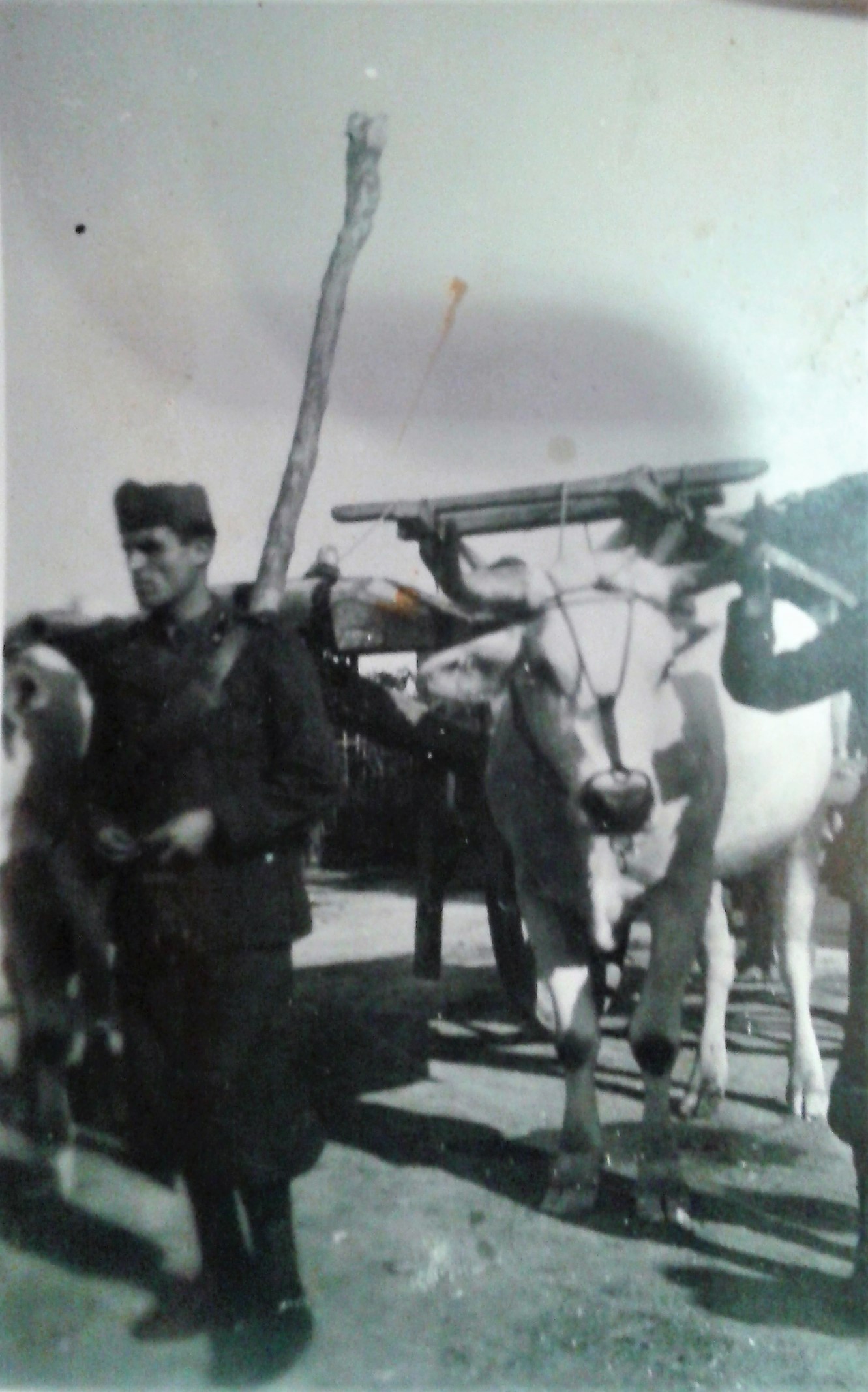 Sessano Archivio Tonino Ciullo