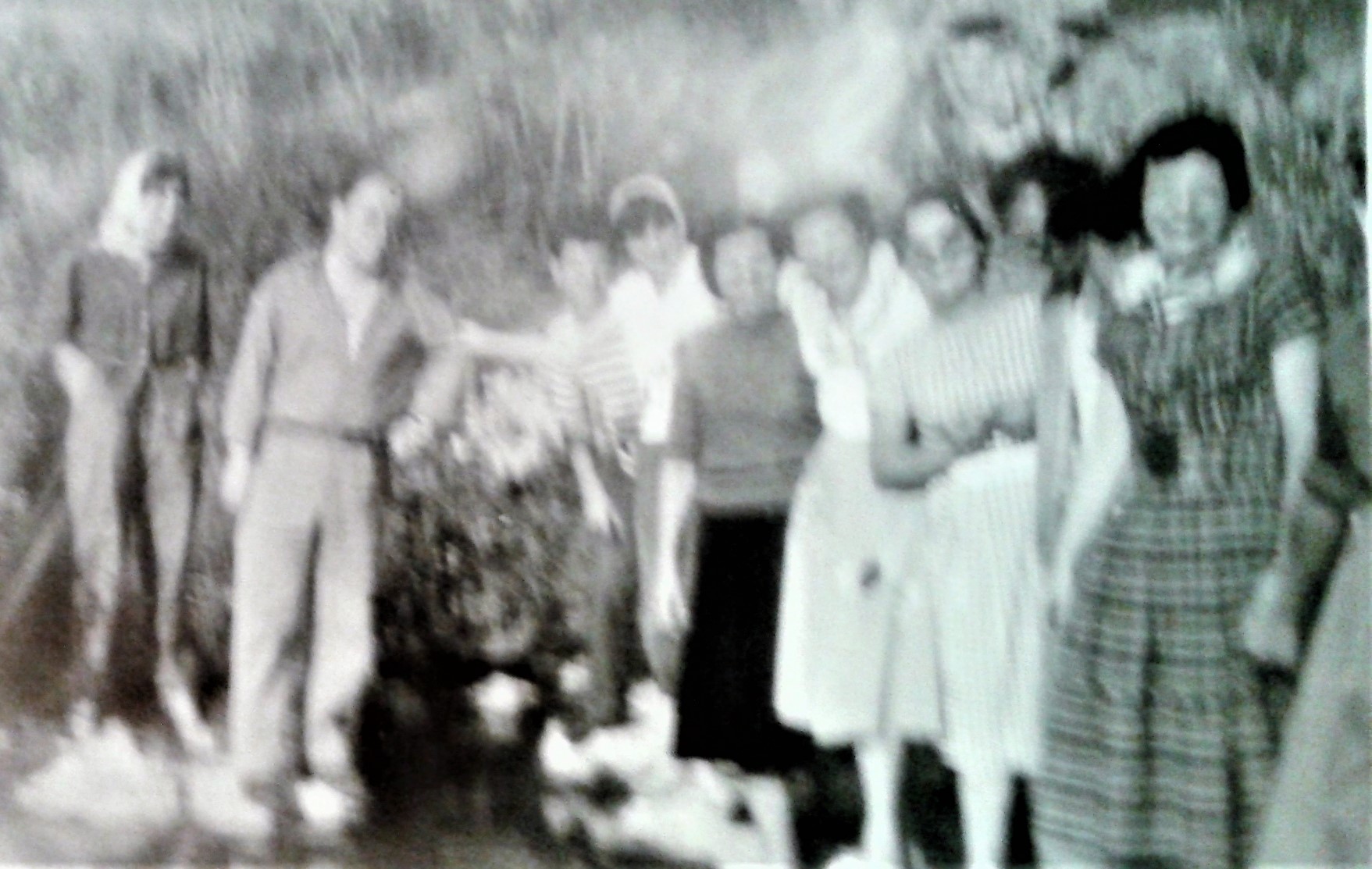 Sessano Archivio Tonino Ciullo
