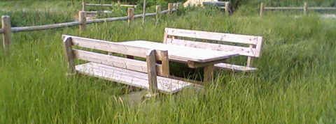 degrado_merluongo_090528.jpg (23325 byte)