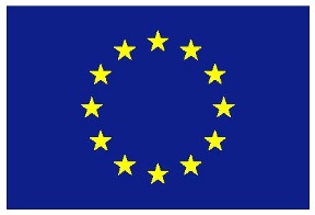 Bandiera dell'Unione Europea